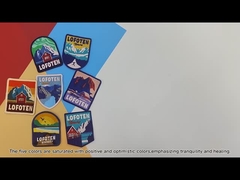 Tela feita sob encomenda bordada da sarja do remendo do Sr. Wolf 5 cor bonito com beira do bordado