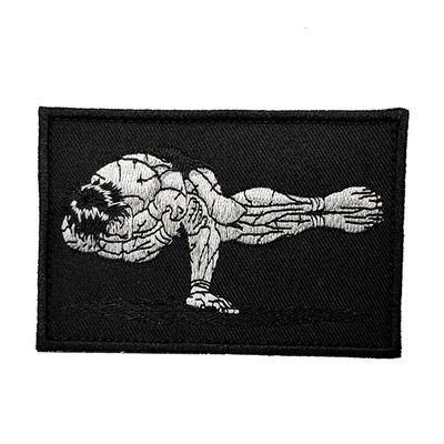 Ferro da tela da sarja da cor de PMS no remendo da roupa pessoal com certificado de Sedex