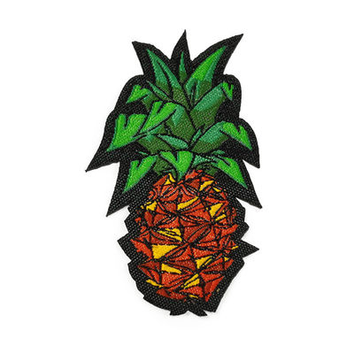 Os remendos amigáveis de Eco das linhas coloridas frutificam remendos tecidos da etiqueta