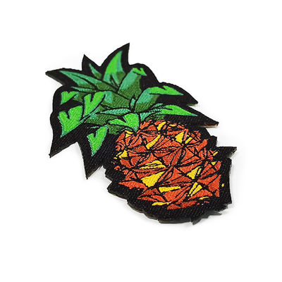 Os remendos amigáveis de Eco das linhas coloridas frutificam remendos tecidos da etiqueta